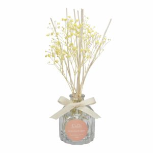 C&D Reed Diffuser Little Stars Scented Reed Oil Diffuser with Rattan Sticks for Home Office Fragrance Decor Gift 100ml (Beach)