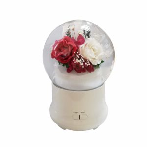C&D Preserved Rose in Glass Humidifier Aroma Ultrasonic Diffuser for Home Office Decor, Adjustable Mist Output (Red & White)