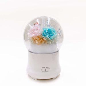 C&D Preserved Rose in Glass Humidifier Aroma Ultrasonic Diffuser for Home Office Decor, Adjustable Mist Output (Pink & Blue)