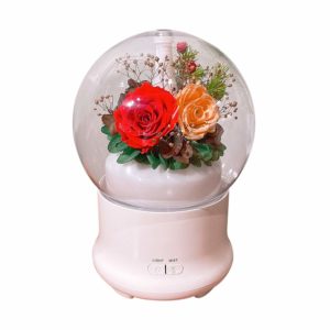 C&D Preserved Rose in Glass Humidifier Aroma Ultrasonic Diffuser for Home Office Decor, Adjustable Mist Output (Red & Orange)