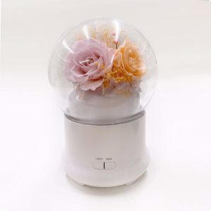 C&D Preserved Rose in Glass Humidifier Aroma Ultrasonic Diffuser for Home Office Decor, Adjustable Mist Output (Purple & Champagne)