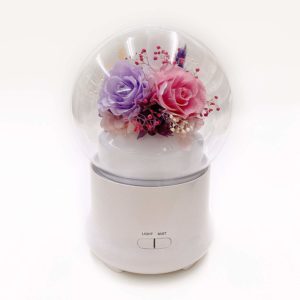 C&D Preserved Rose in Glass Humidifier Aroma Ultrasonic Diffuser for Home Office Decor, Adjustable Mist Output (Purple & Pink)
