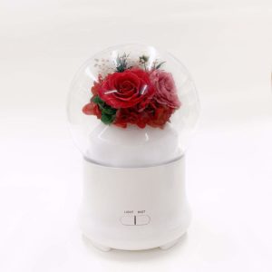 C&D Preserved Rose in Glass Humidifier Aroma Ultrasonic Diffuser for Home Office Decor, Adjustable Mist Output (Red & Brown)