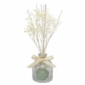 C&D Reed Diffuser Little Stars Scented Reed Oil Diffuser with Rattan Sticks for Home Office Fragrance Decor Gift 100ml (Sea Breeze)