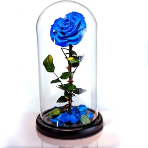 Beauty and The Beast Handmade Preserved Eternal Rose with Fallen Petals in Glass Dome (Blue)