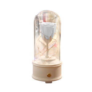 Ecuadorian Preserved Eternal Rose in Glass Dome with Bluetooth Speaker (White Base/White Rose)