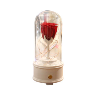 Ecuadorian Preserved Eternal Rose in Glass Dome with Bluetooth Speaker (White Base/Red Rose)
