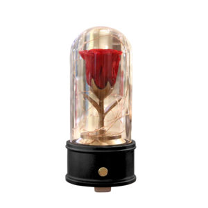 Ecuadorian Preserved Eternal Rose in Glass Dome with Bluetooth Speaker (Black Base/Red Rose)