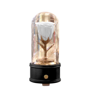Ecuadorian Preserved Eternal Rose in Glass Dome with Bluetooth Speaker (Black Base/White Rose)