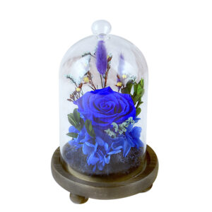 Ecuadorian Preserved Eternal Rose in Glass Dome (Emerald Blue)