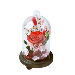 Ecuadorian Preserved Eternal Rose in Glass Dome (Red)