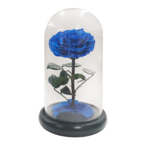 The Little Prince Handmade Preserved Eternal Rose with Fallen Petals in Glass Dome (Sapphire Blue)