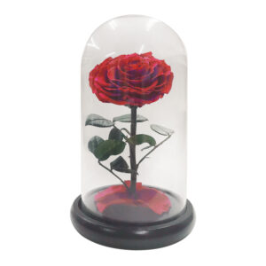The Little Prince Handmade Preserved Eternal Rose with Fallen Petals in Glass Dome (Red)