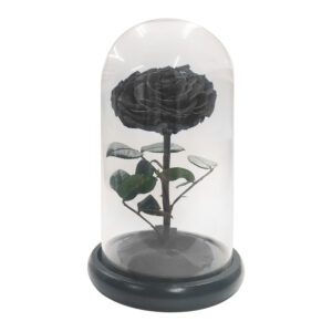 The Little Prince Handmade Preserved Eternal Rose with Fallen Petals in Glass Dome (Black)