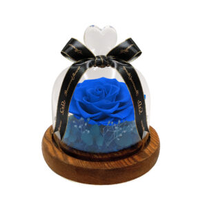 Ecuadorian Single Preserved Eternal Rose in Glass Dome (Blue)